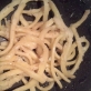 Bucatini cacio e pepe