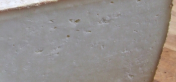 Pecorino