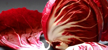 Radicchio